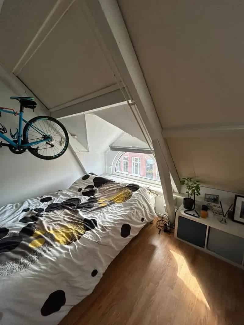 Mooie Studio Tuinbouwstraat