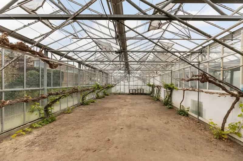 Huis te koop Dorpskade Wateringen grote tuin en vijver