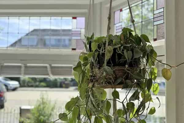Jaren 30 woning Alkmaar 4 slaapkamers moderne keuken