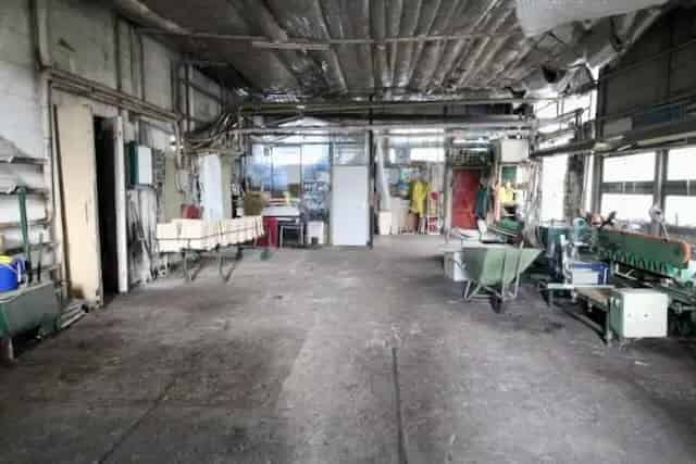 Agrarisch Bedrijf Sappemeer 7800m2 Glasoppervlakte