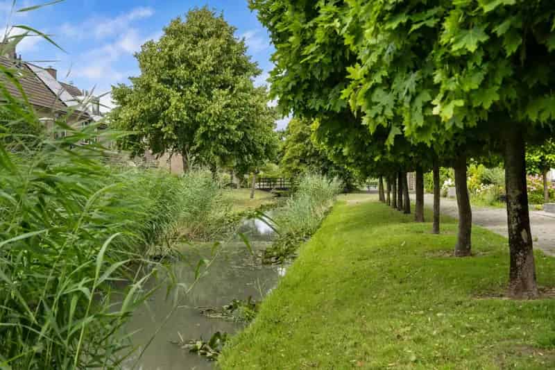 Vrijstaande Bungalow Dreef 50: Ruime Woonkamer en Royale Keuken