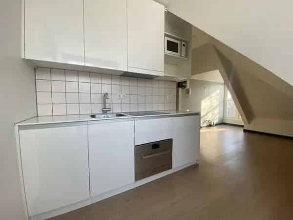 Utrecht Biltstraat: 2-kamer appartement 40m2 met dakterras