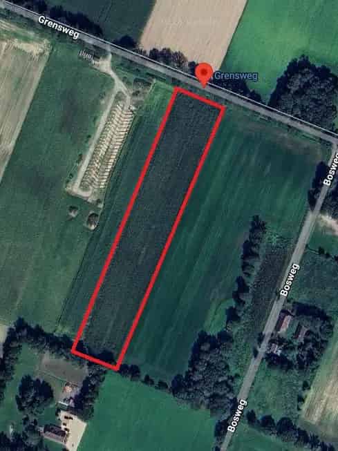 Agrarische Grond Siebengewald 1447 hectare te koop