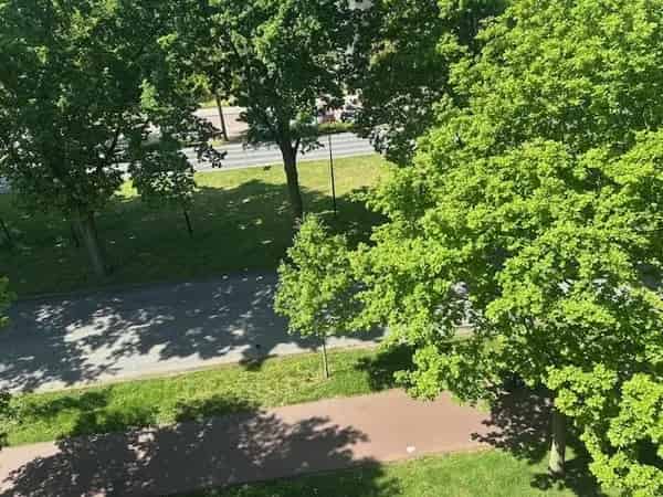 Te Huur: Ruim 3 Kamer Appartement Eindhoven 86m2