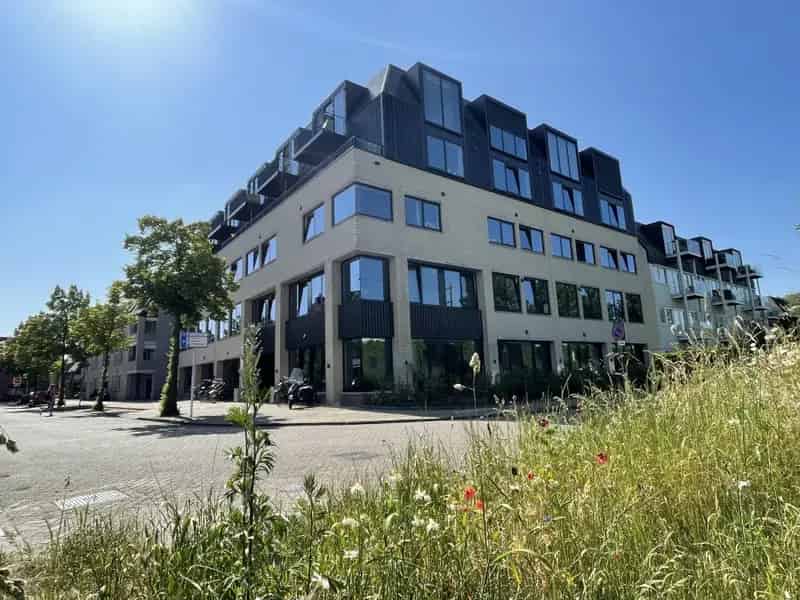 Studio Houten