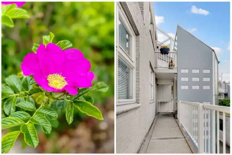 3-kamerappartement Bilthoven De Leyen 69m2 Balkon Berging