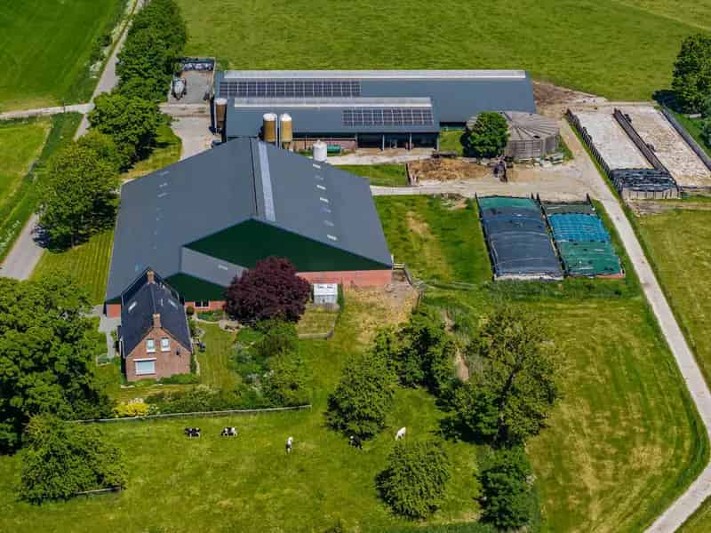 Melkveebedrijf te koop Warfhuizen 61 hectare
