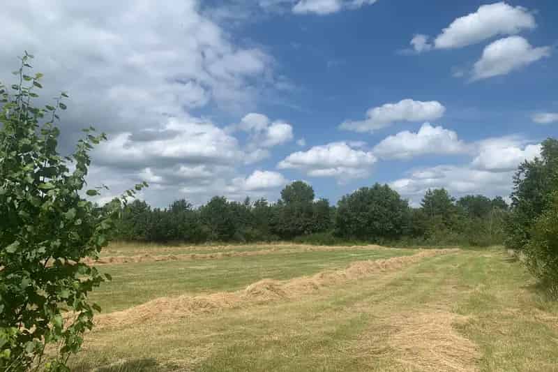 Landgoed De Brabantse Wal te Pachten of Kopen
