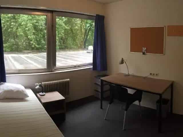 Kamer Aan t Verlaat Delft: Studentenkamers 11m2