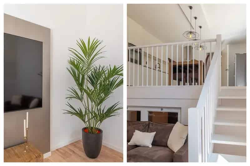 Luxe 5 Slaapkamer Woning Amsterdam Noord 2 Dakterrassen Parkeerplaats