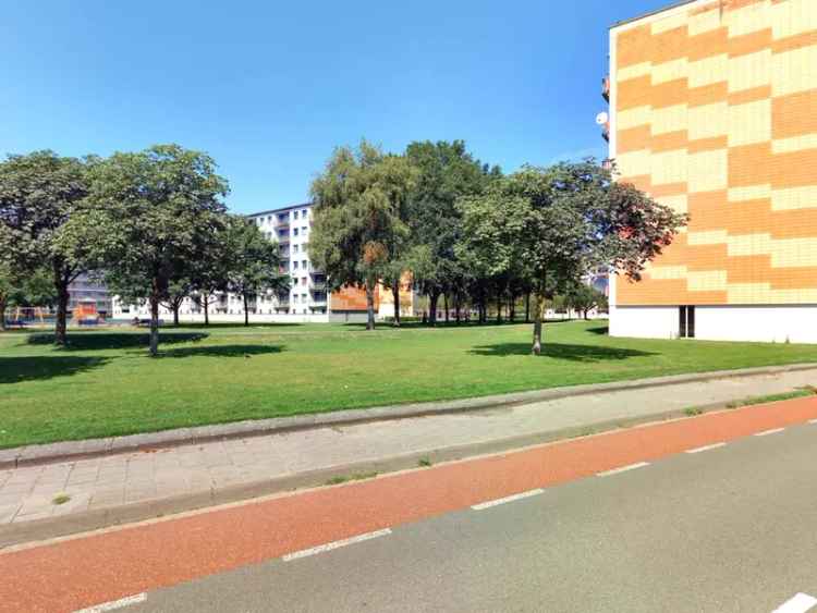 Ruim 3-kamer appartement nabij uitvalswegen