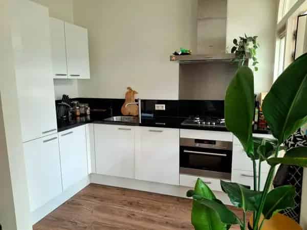 Zomerhuis verhuur Utrecht: Hoog huis met balkon en poes