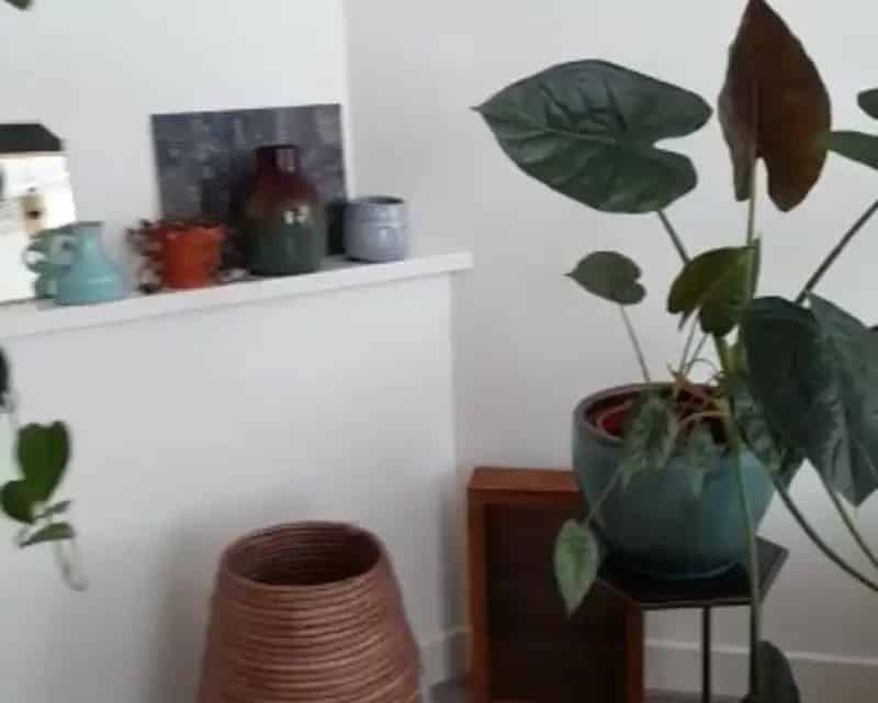 Kamer te Huur Rivierenbuurt - Vrouwelijke Huisgenoot