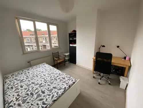 Kamer Hoofddorp gezocht door jonge dame
