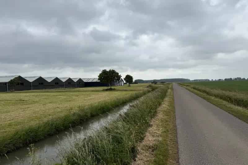 Bedrijfshal te Huur Altforst 13000m2 Agrarisch