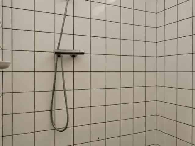 Ruime woning Arnhem onbepaalde tijd woningdelers huisdieren mogelijk