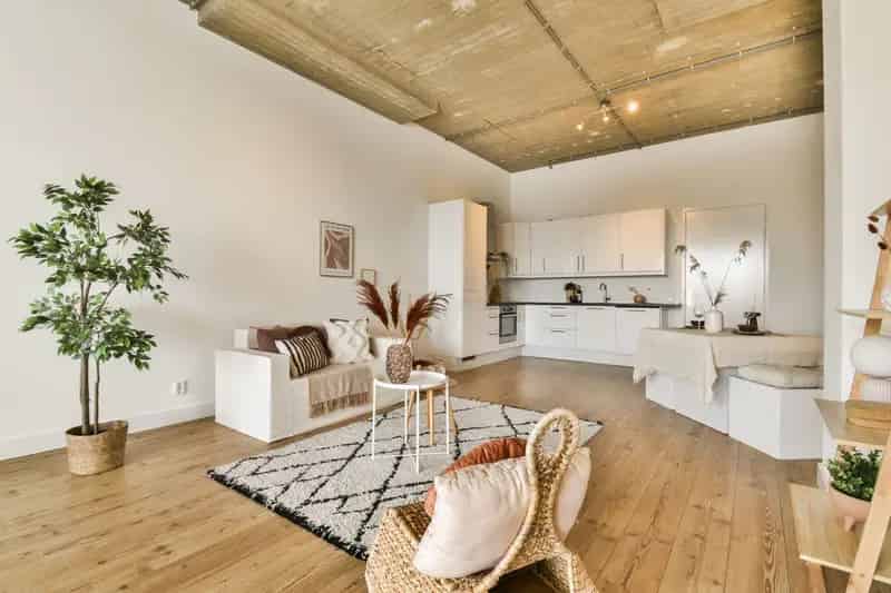 Studio Amsterdam-West Willem de Zwijgerlaan