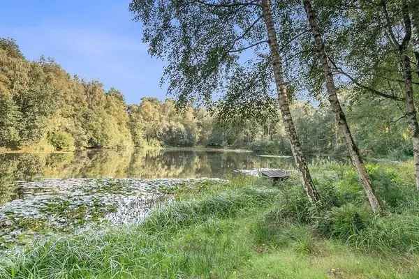 Woning Te Huur in Ommen, Overijssel