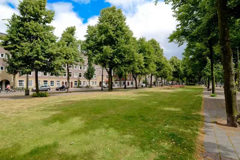 Gerenoveerd Familie Appartement Amsterdam Zuid 140m2 5 Slaapkamers