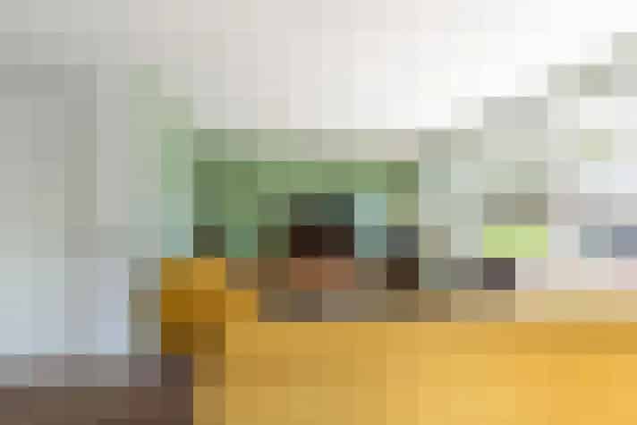 5 Kamer Woonhuis Dijk en Waard