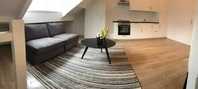 Huis Te Huur , Schiedam, Zuid-Holland
