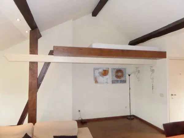 Ruime Studio Maastricht Centrum