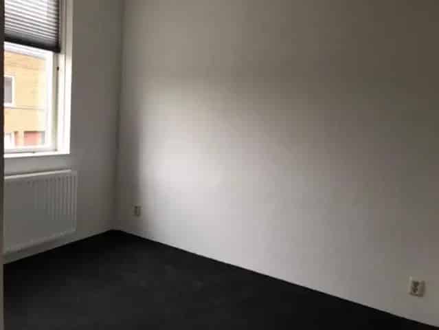 Ruime Hoekwoning Schuytgraaf Arnhem