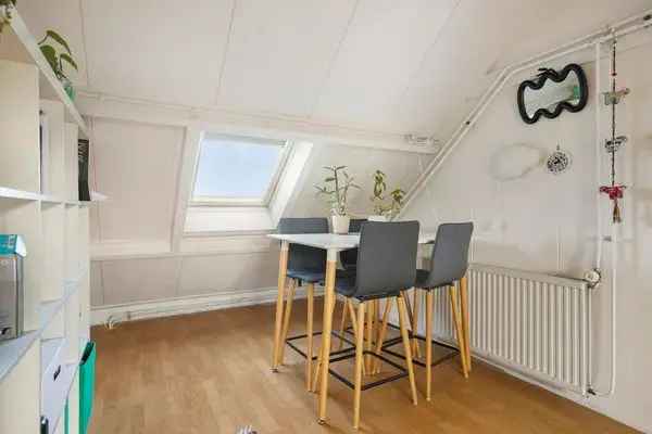 Appartement Te Huur in Utrecht, Utrecht