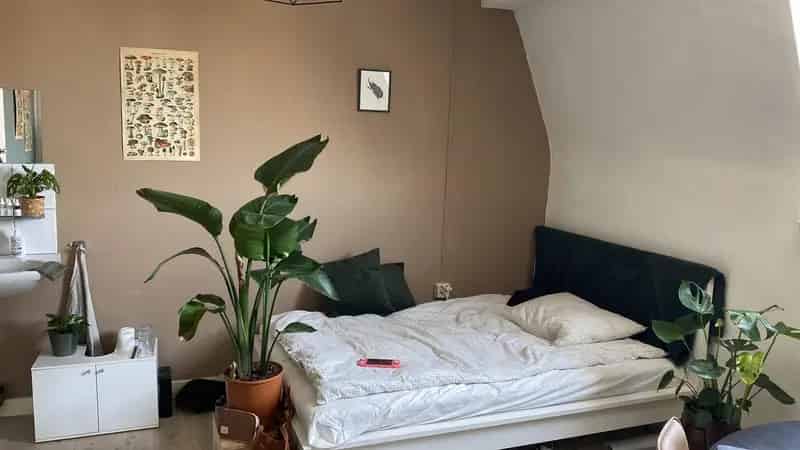 Kamers te huur Huize Ambiance Studentenhuis