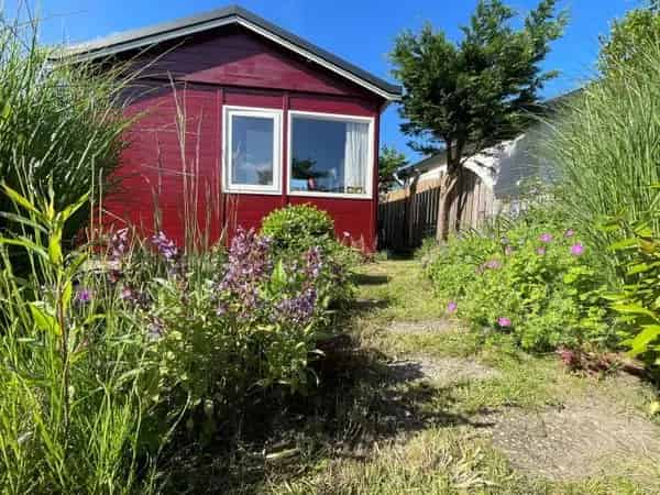 Vakantiehuis Strand Nabij Scandinavisch Gerenoveerd