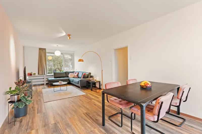 2 Kamer Appartement Rotterdam Hanrathstraat