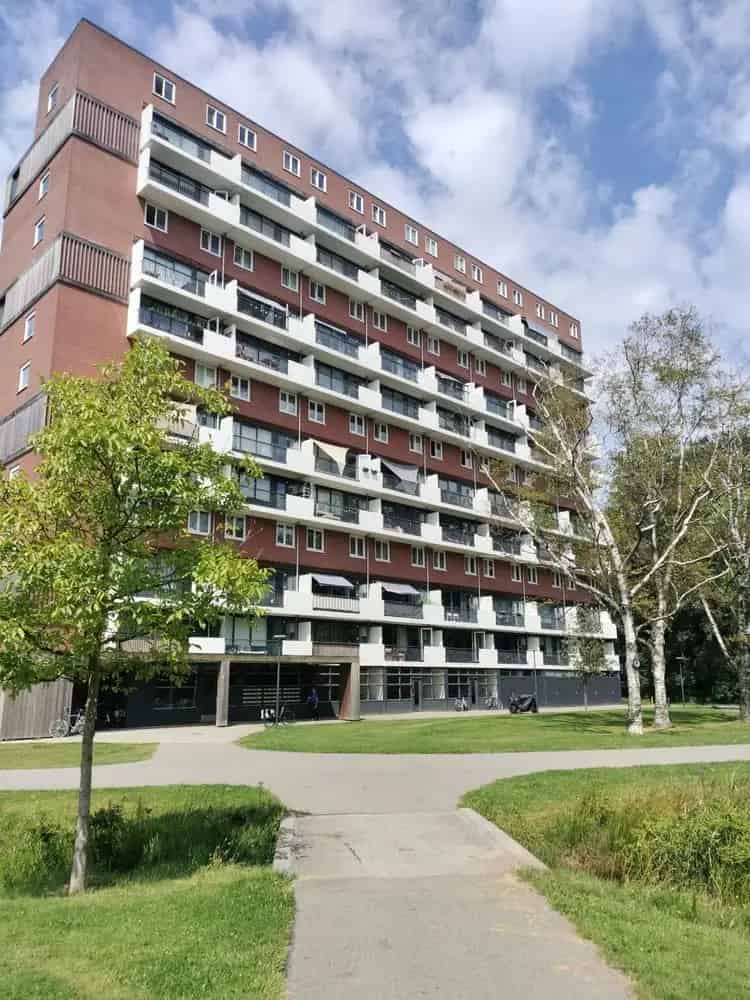 Ruim 5 Kamer Appartement te Huur in De Nieuwe Es