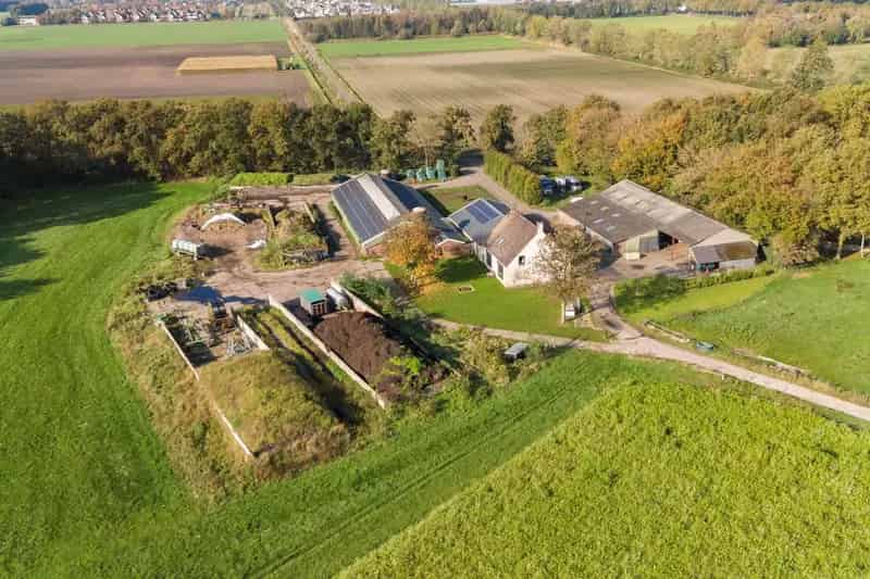 Jongveebedrijf te koop Rucphen: Huis en bedrijfsgebouwen