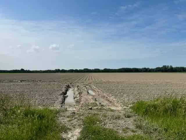 Agrarische Grond Ouddorp 35 6620 ha Bouwland te Koop