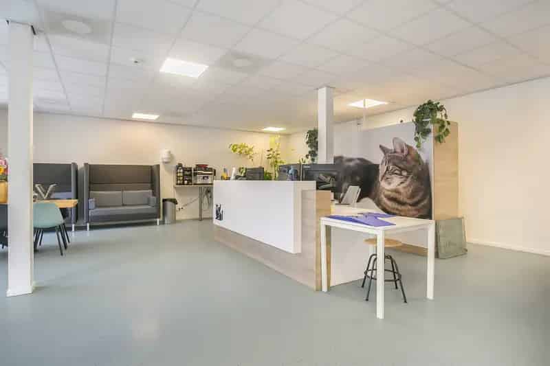 Praktijkruimte te huur Meenteweg 24 A Zwolle