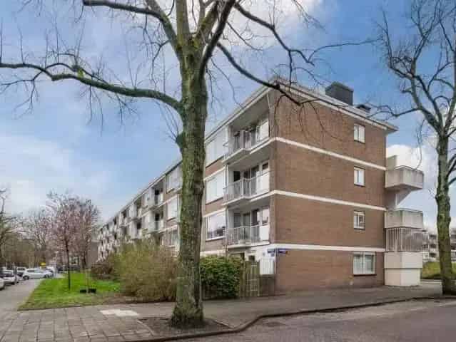 Tweekamerappartement Amsterdam Zuid met Tuin