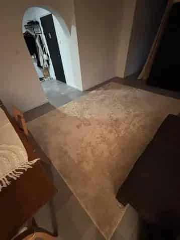 Beige Tapijten 240x340cm en 200x280cm