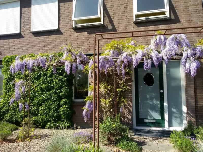 Appartement in Leuth met 2 kamers