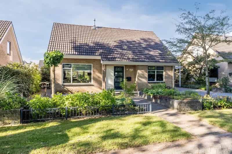 Vrijstaande Semibungalow Echten Gasloos Moderne Tuin