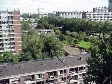 Poptahof Zuid 492: Gezinnen welkom in levendige wijk