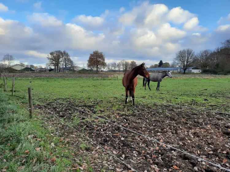 Agrarische grond Weert | Zoek agrarische grond te koop: Wildingsteeg 6004 SP Weert [funda in business]