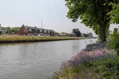 2 Kamer Appartement Weert 32m2 Te Huur Nabij Centrum