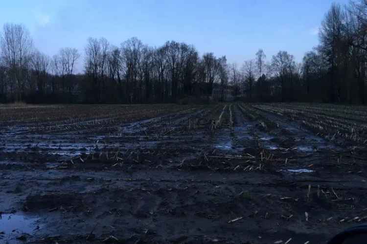 Agrarische grond Schijndel | Zoek agrarische grond te koop: Ollandseweg 5481 VC Schijndel [funda in business]