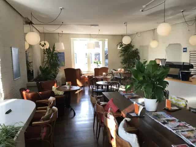 Horeca Pand te Koop Zwolle 600m2