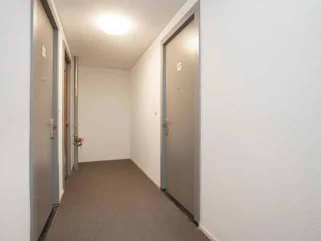 Punt Sniep 317 Diemen