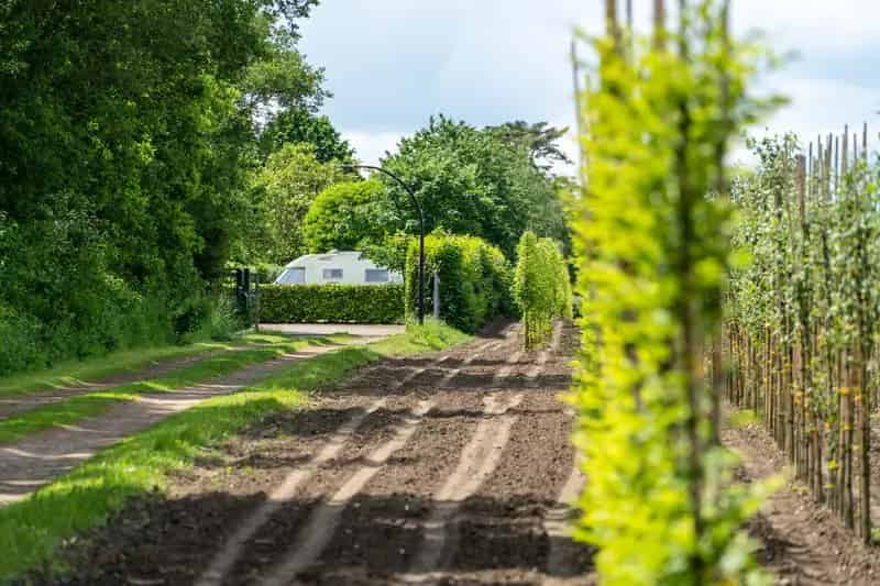 Ezelgasterij Aan de Maasheggen te koop Groeningen