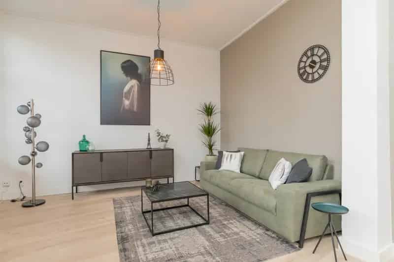 2 Kamer Appartement Haarlem Centrum Gemeubileerd Dakterras