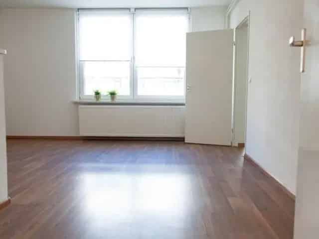 Appartement Daalhof Maastricht 1 Slaapkamer Balkon Gerenoveerd