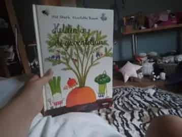 Helden in de groentetuin Boek
