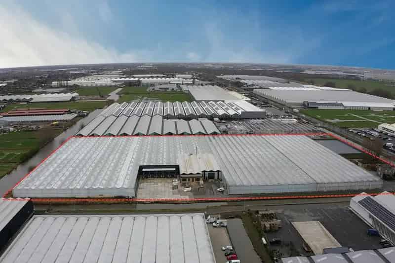 Bedrijfshal Aalsmeer te huur  23000m2 Opslag Productie Handel